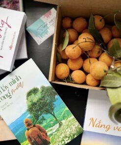 Ôm lấy mình trong mưa 3